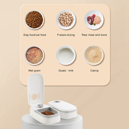 Automatic Timed Pet Feeder Smart Food Dispenser For Cats Dogs Timer Stainless Steel Bowl Auto Dog Cat Pet Feeding Pets Supplies